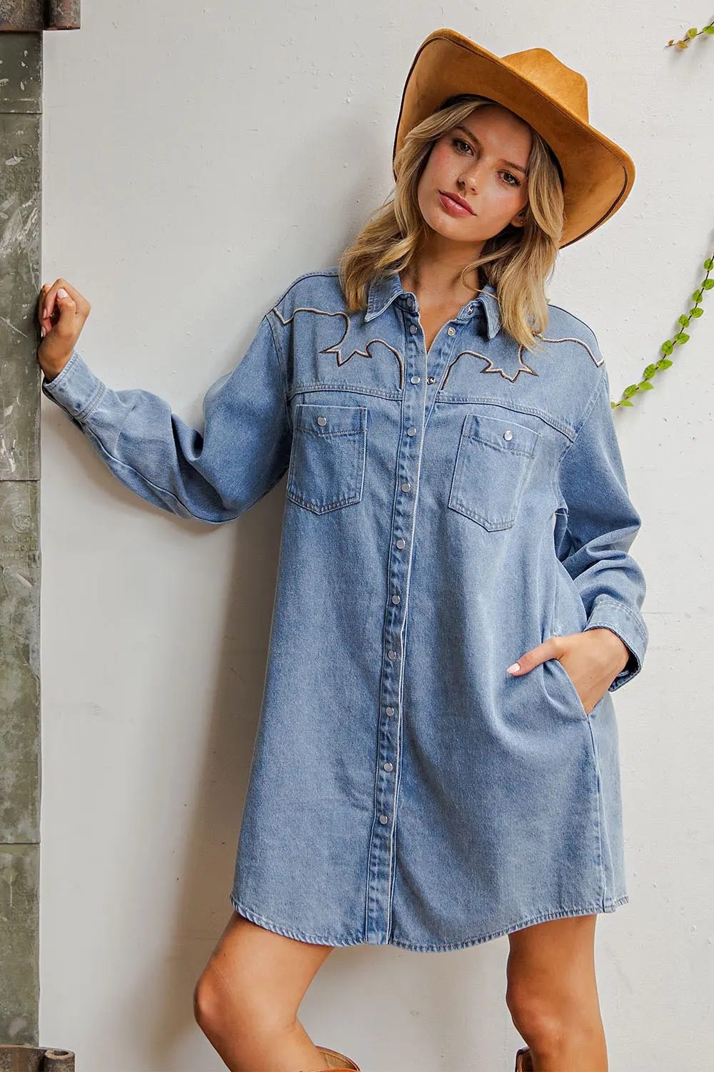 Western Denim Dress