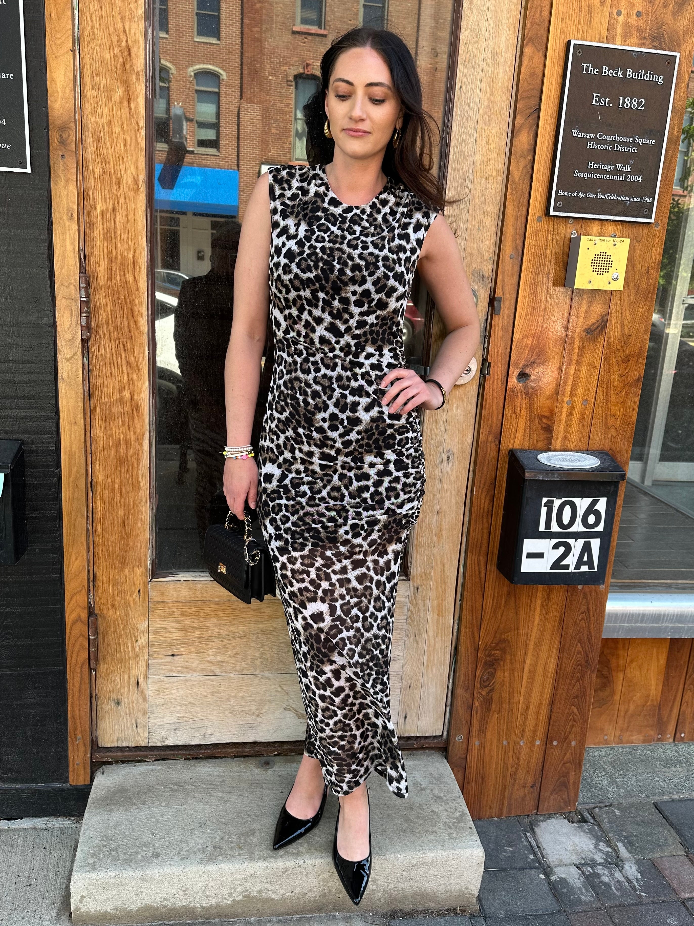 Raley Leopard Dress