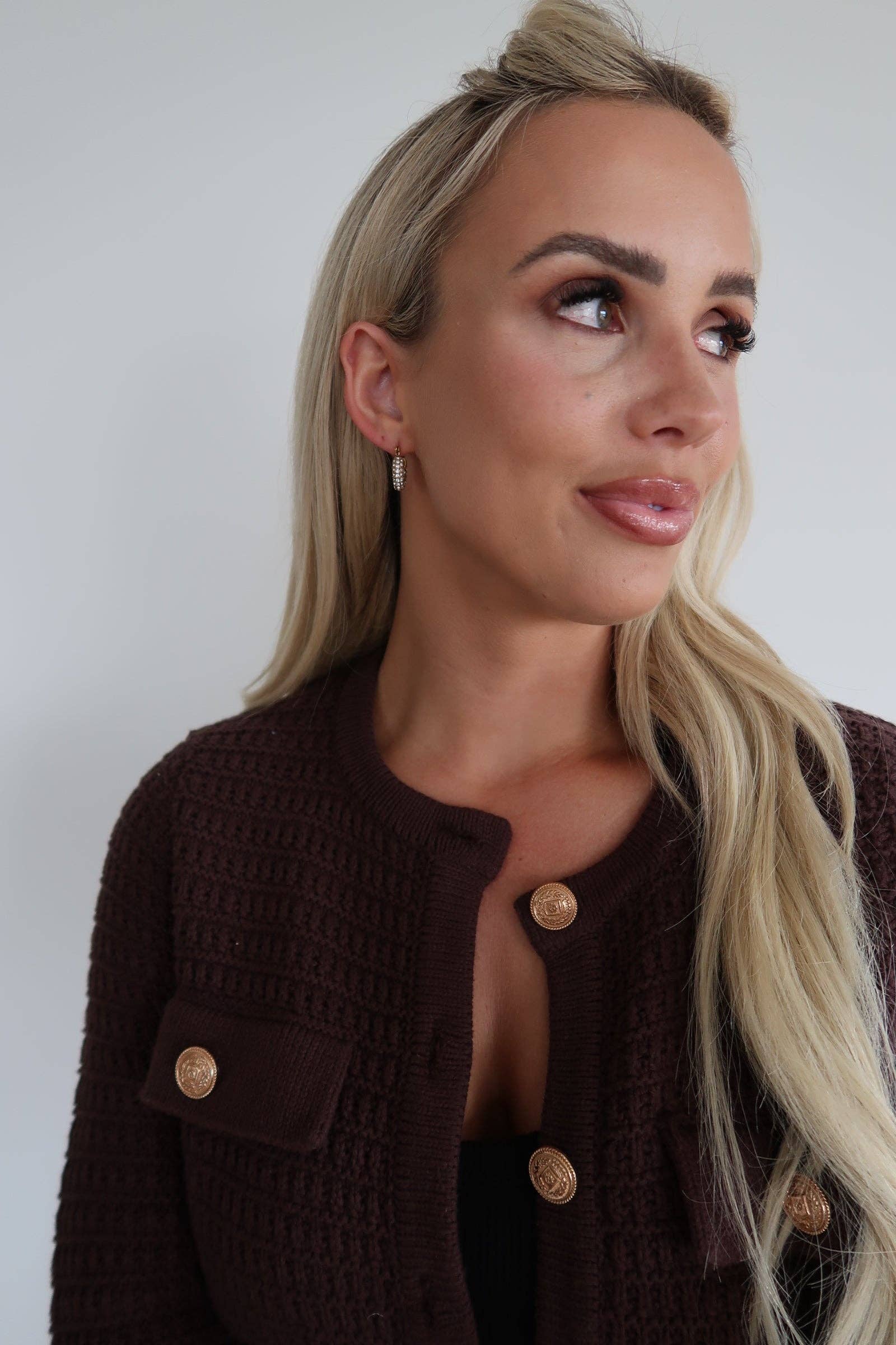 Small Diamond Hoops: Silver