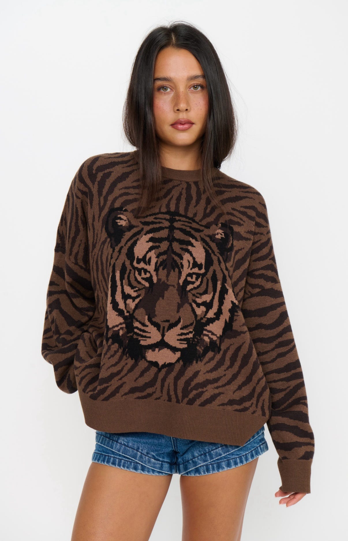 Wild Tiger Graphic knit