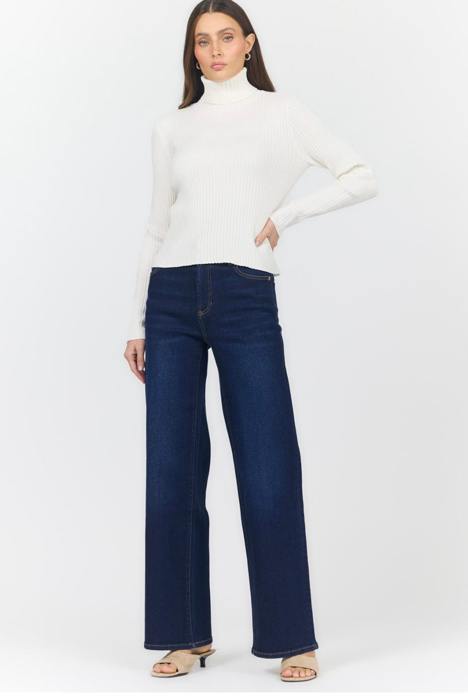 Arlen Turtle Neck Sweater