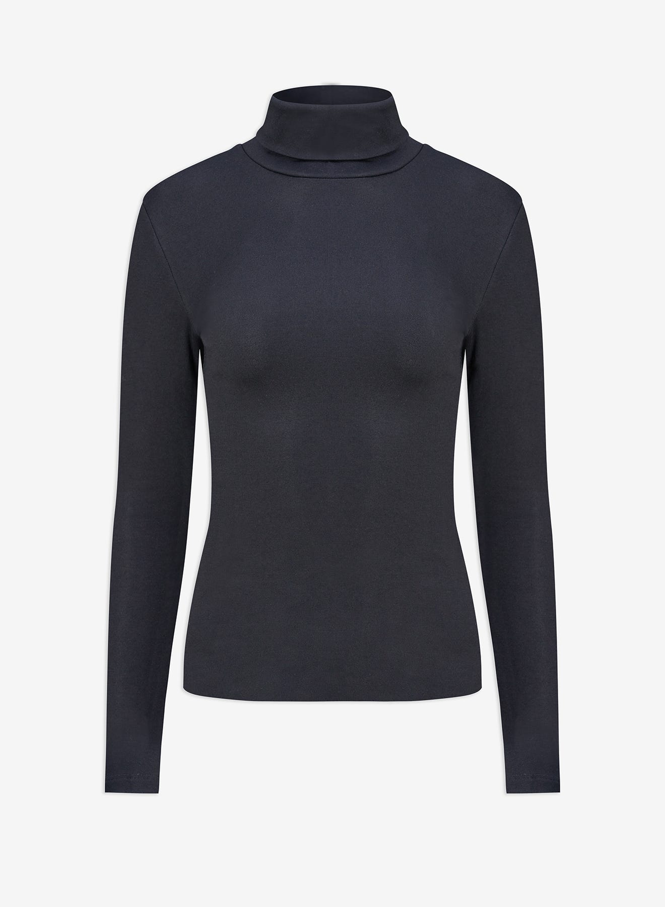 The Sleek Society Turtleneck