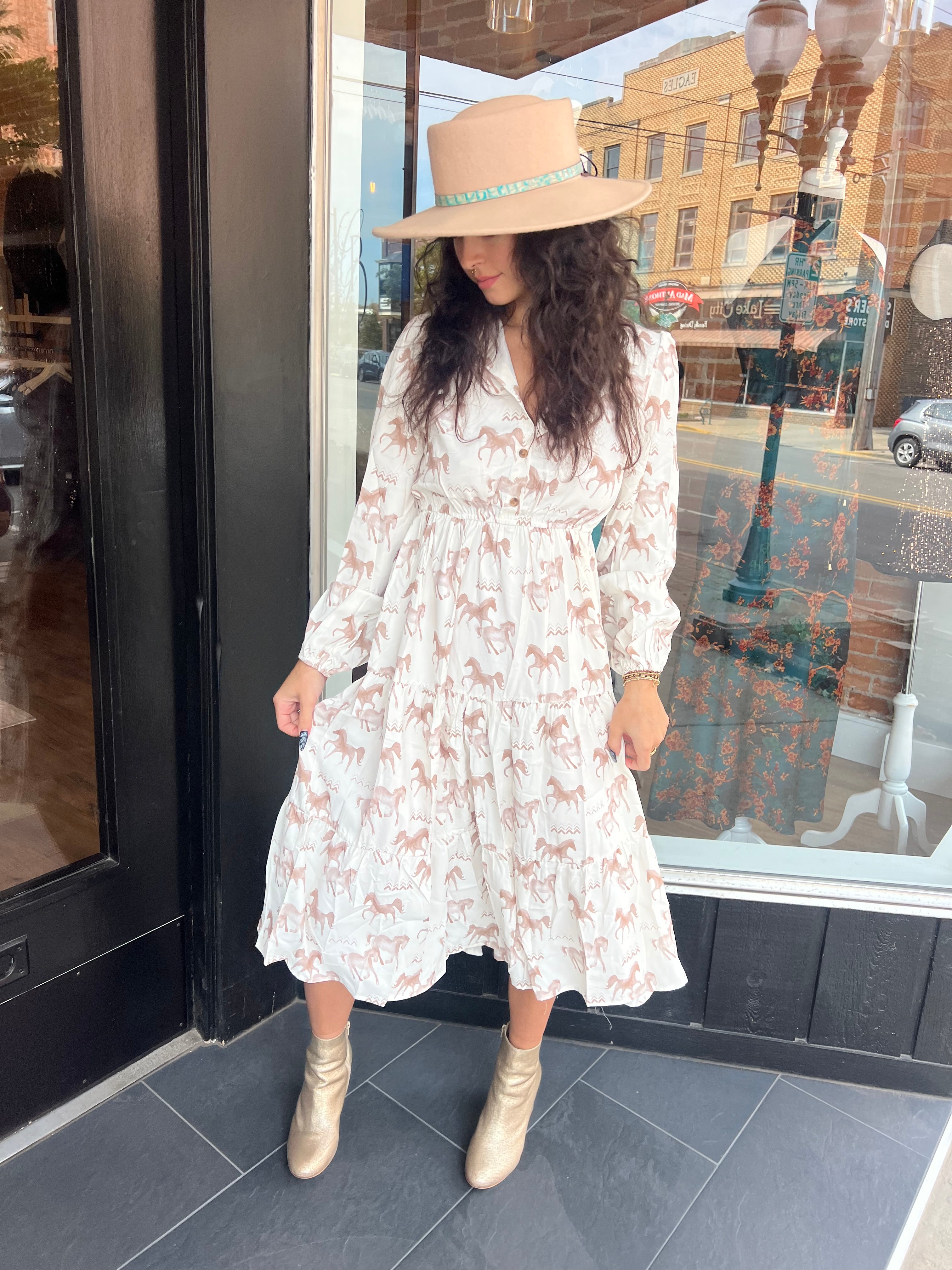 Western Whimsy Dress