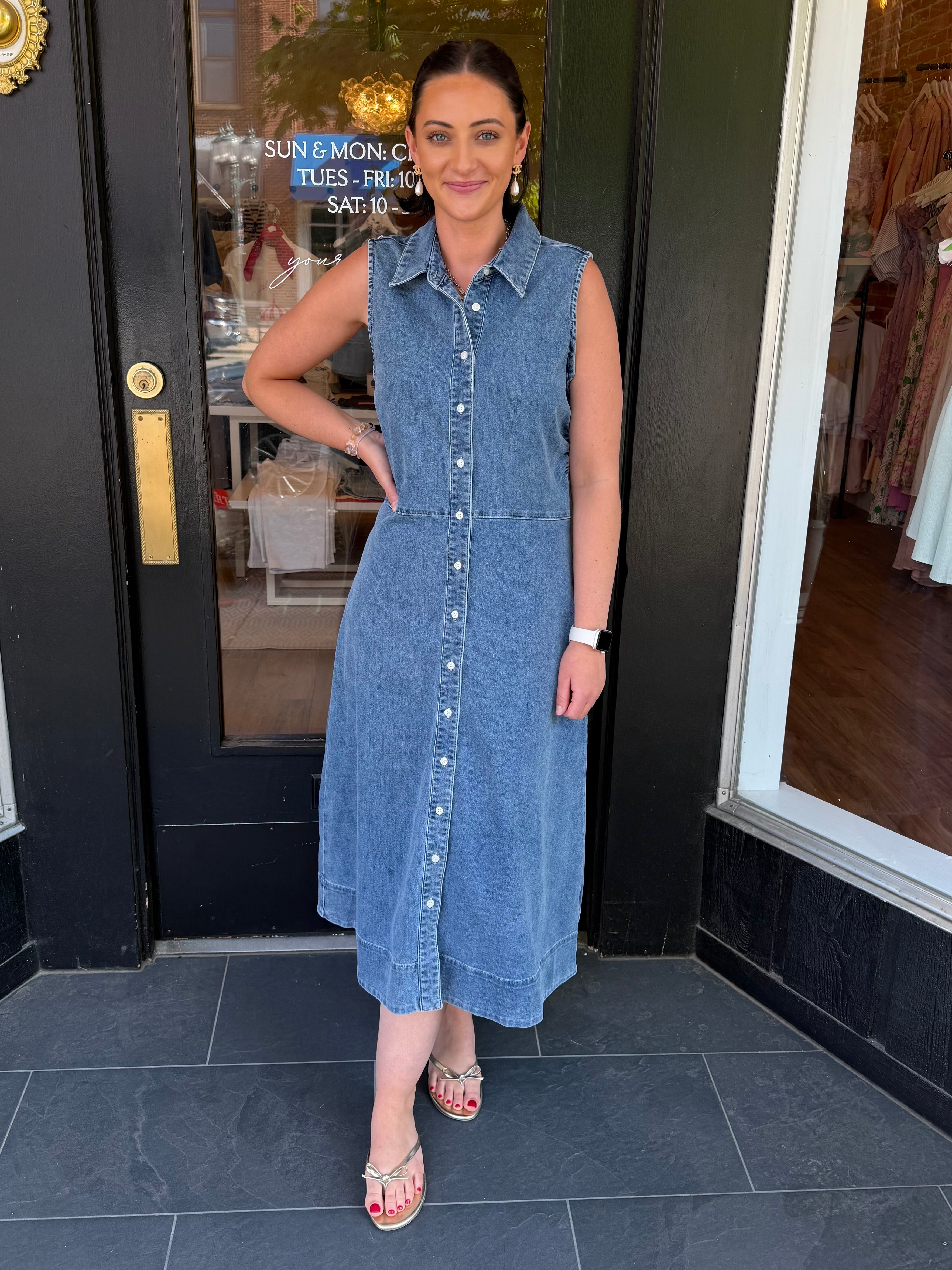 Luella Denim Dress