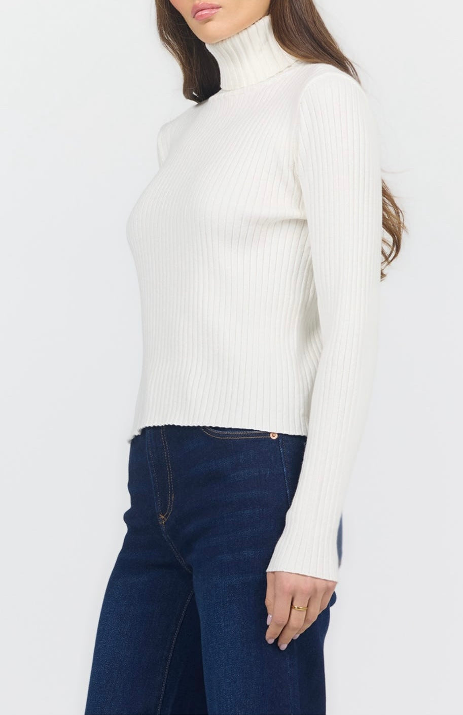 Arlen Turtle Neck Sweater