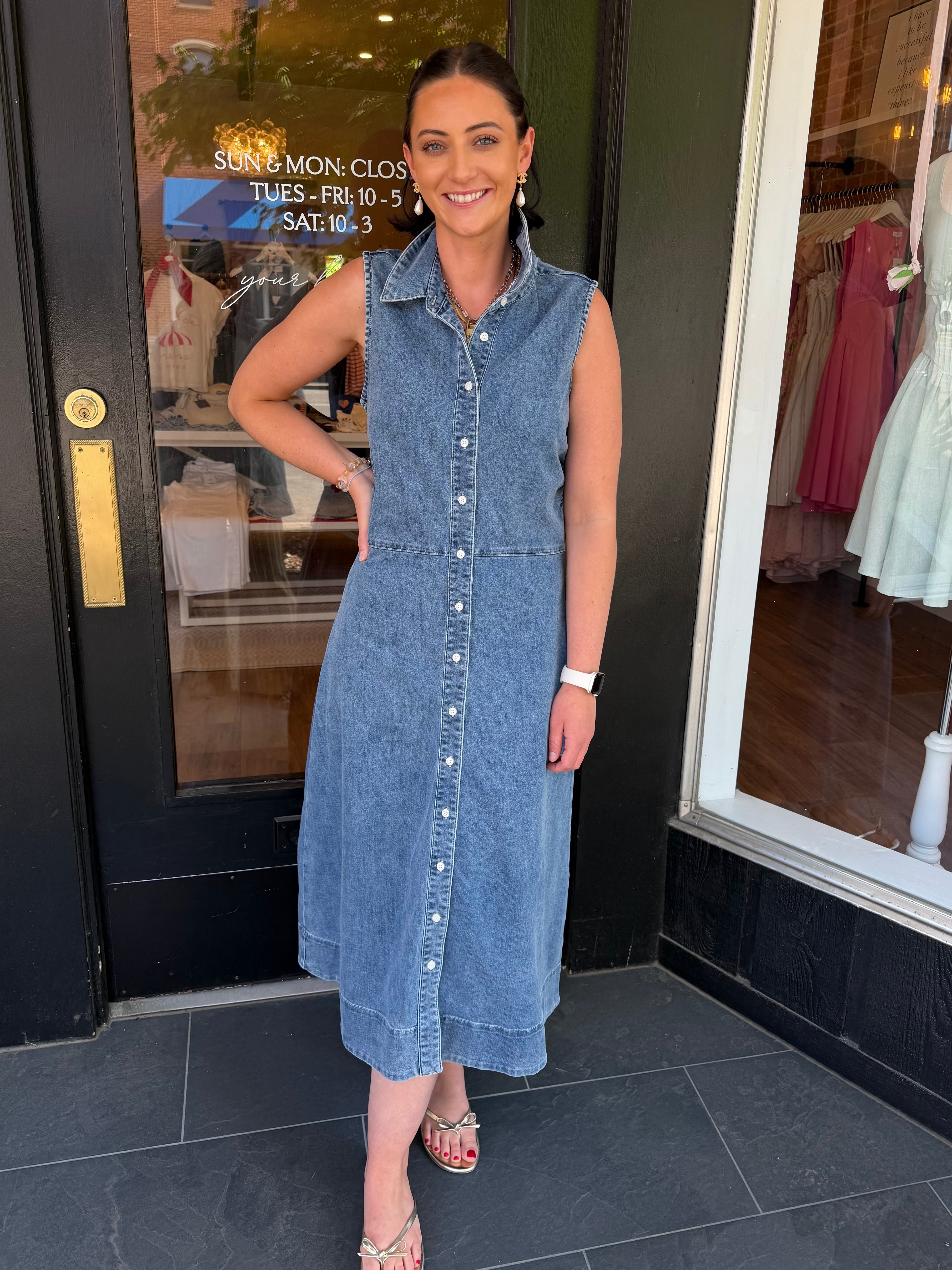 Luella Denim Dress