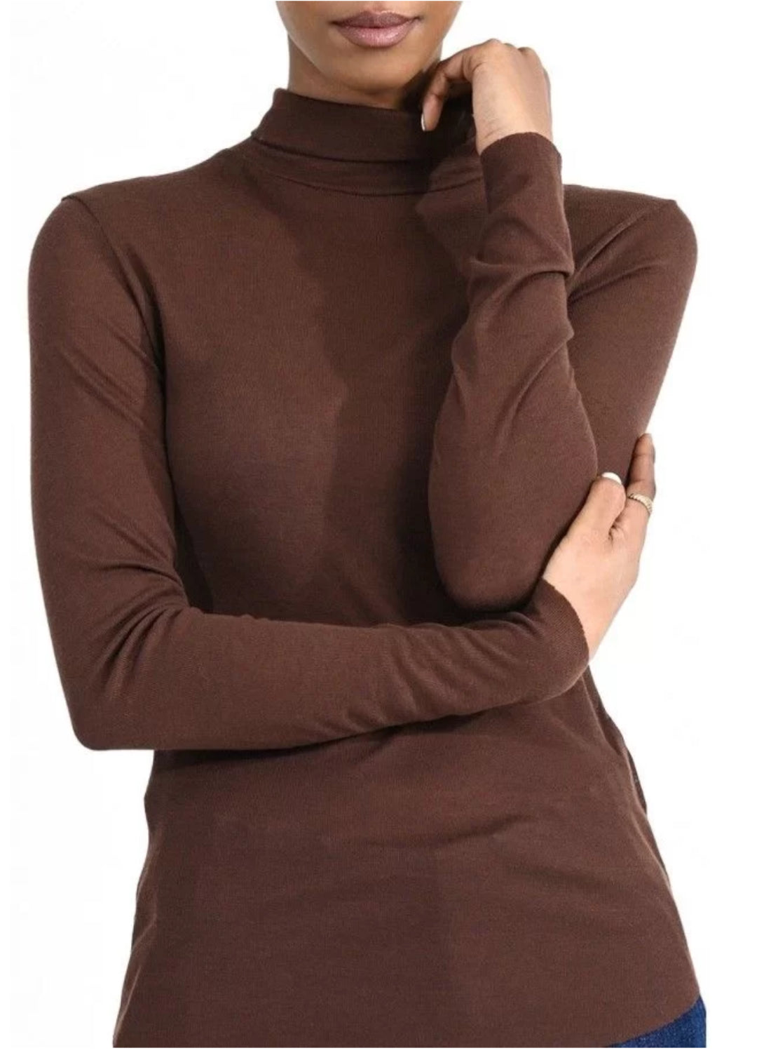 Brown Turtleneck