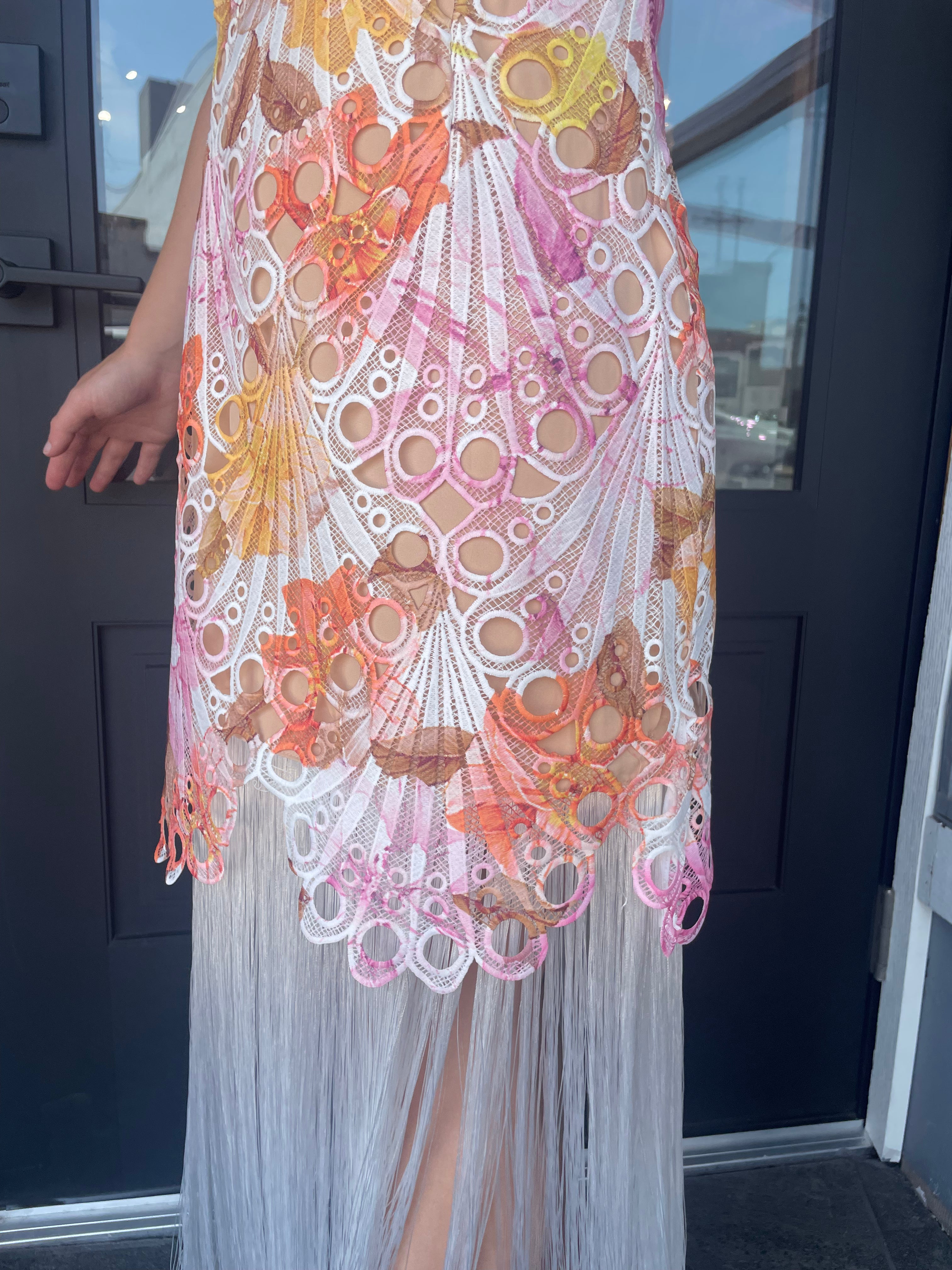 Multi-Color Fringe Dress