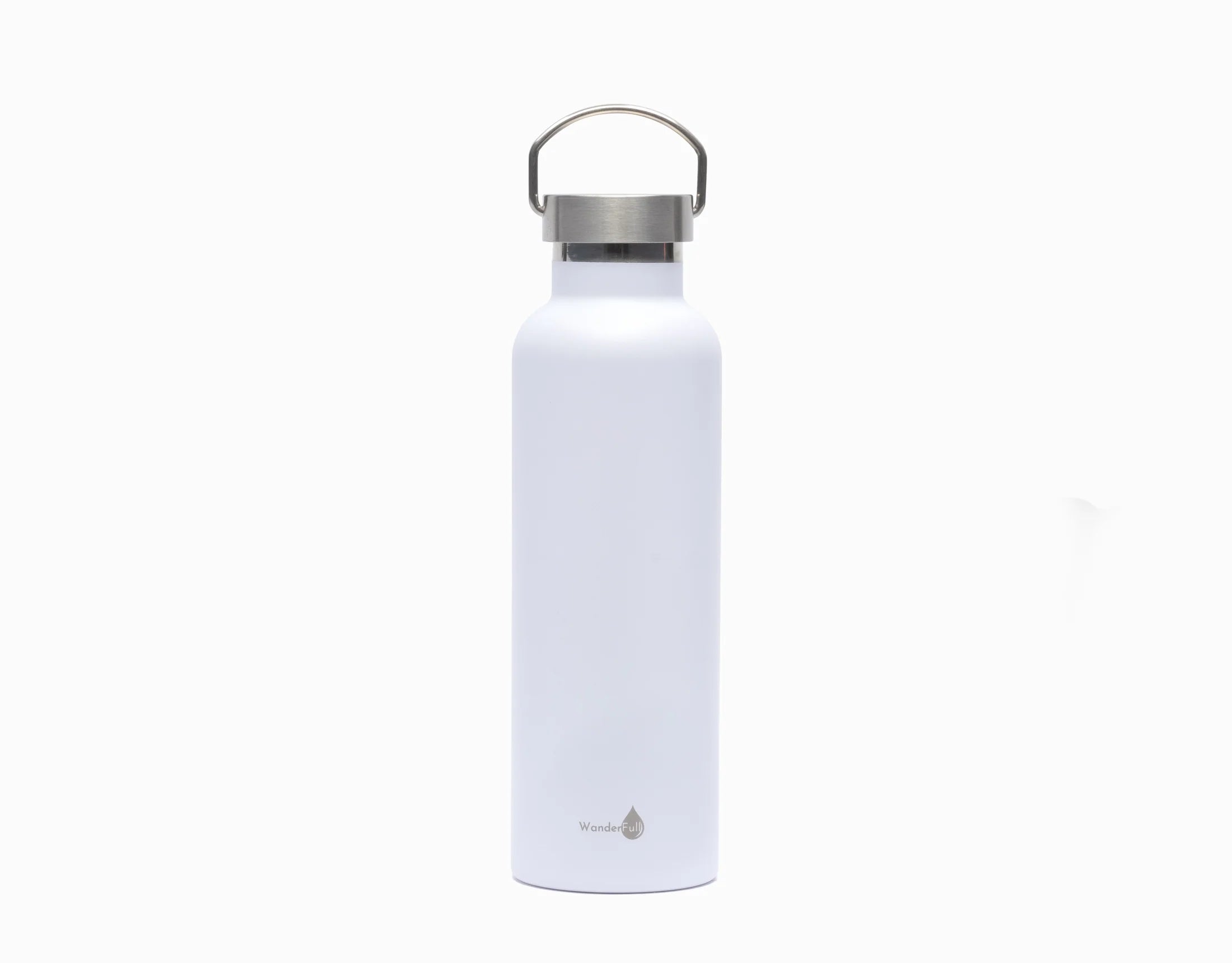 Insulated Water Bottle