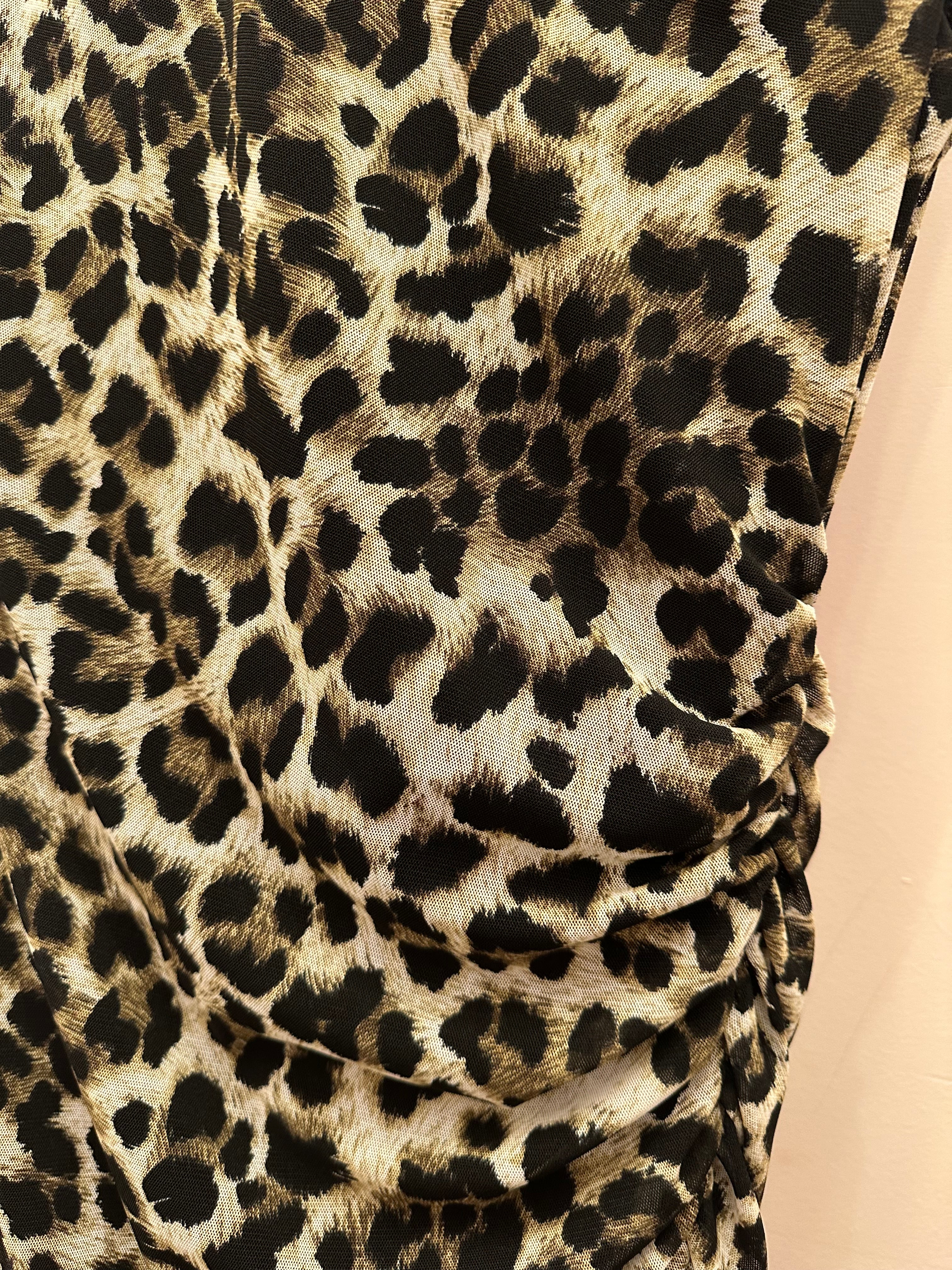 Raley Leopard Dress