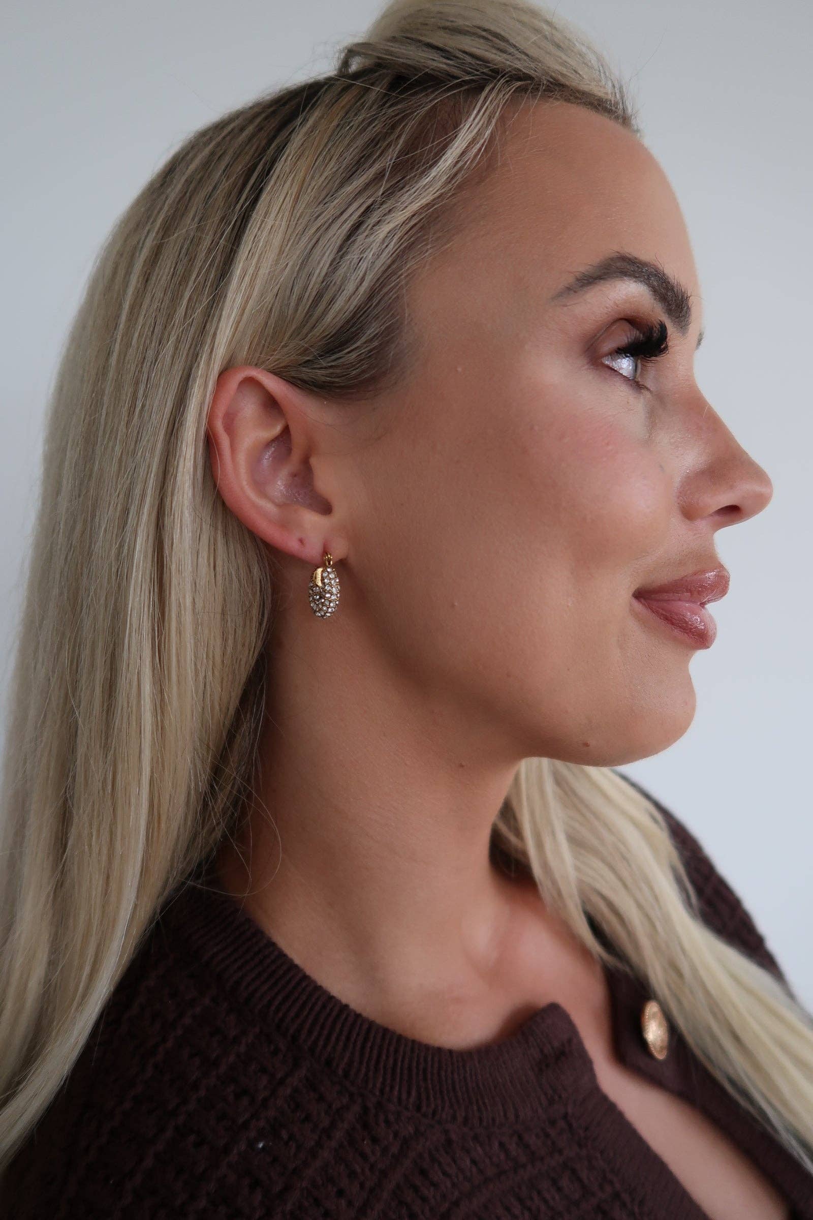 Small Diamond Hoops: Gold